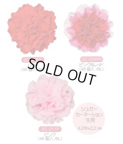画像1: 選べる！母の日　シュガーカーネーション生用　48個入【同梱不可商品】