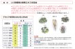 画像3: 植物エキス配合　安全な害虫きひ剤　食品現場におすすめ！デサピア　不快な害虫を寄せ付けない！液体タイプ500ｍｌ（屋内用） (3)
